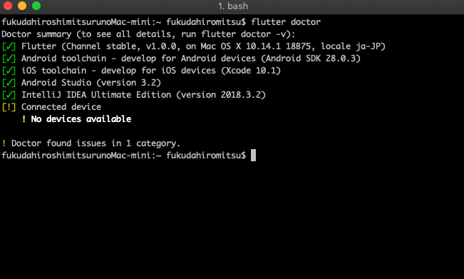Flutter doctorの実行結果
